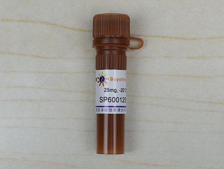 SP600125 (JNK抑制剂)